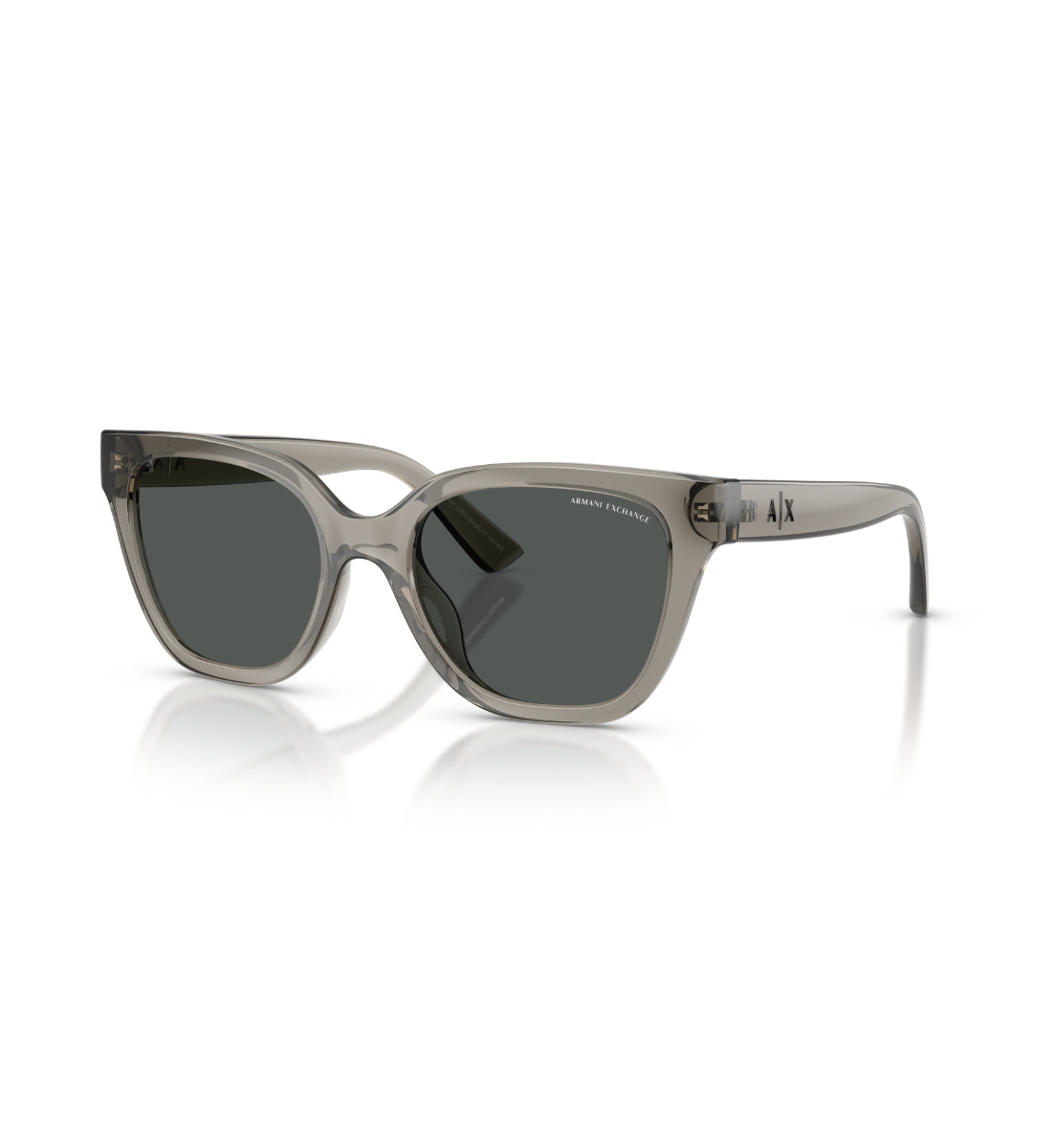 Gafas de Sol Armani Exchange AX4164SU AX4164 839487 53