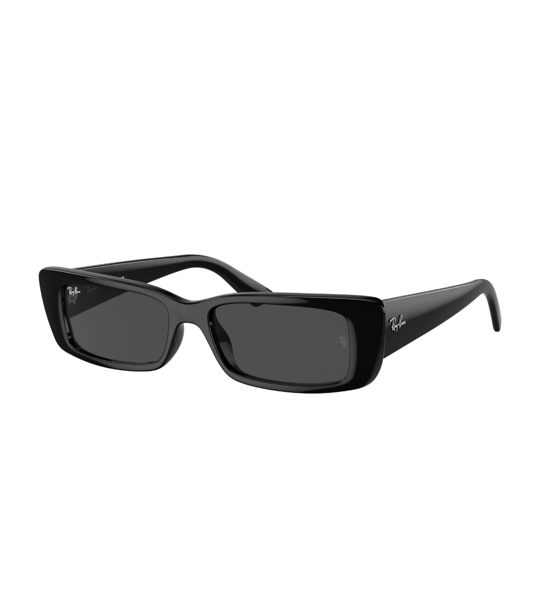 Gafas de Sol Ray-Ban Teru RB4425 667787 54
