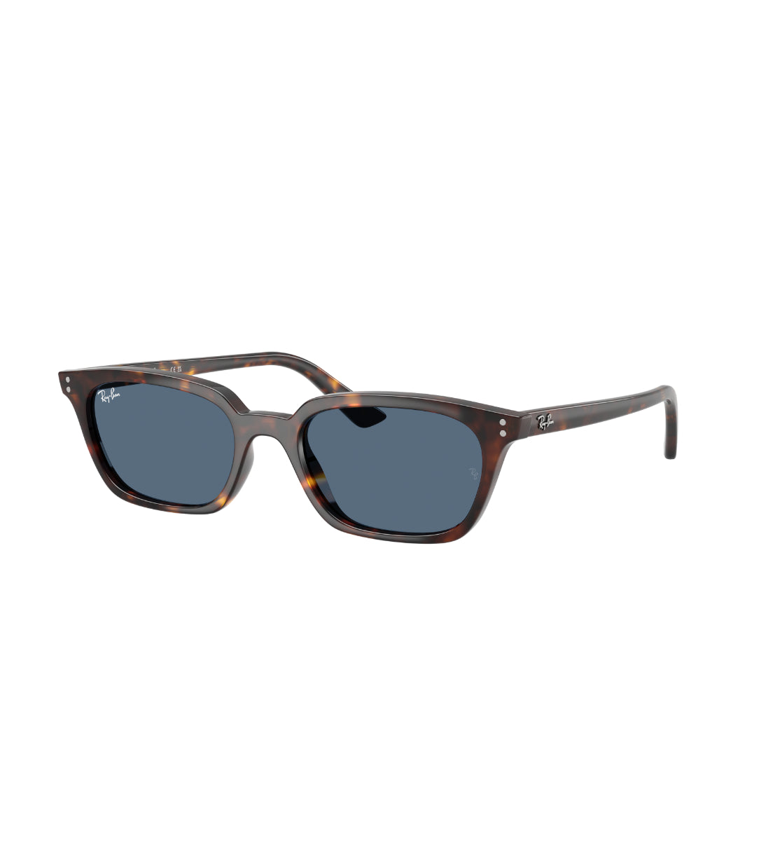Ray-Ban ZAYA – Gafas de Sol