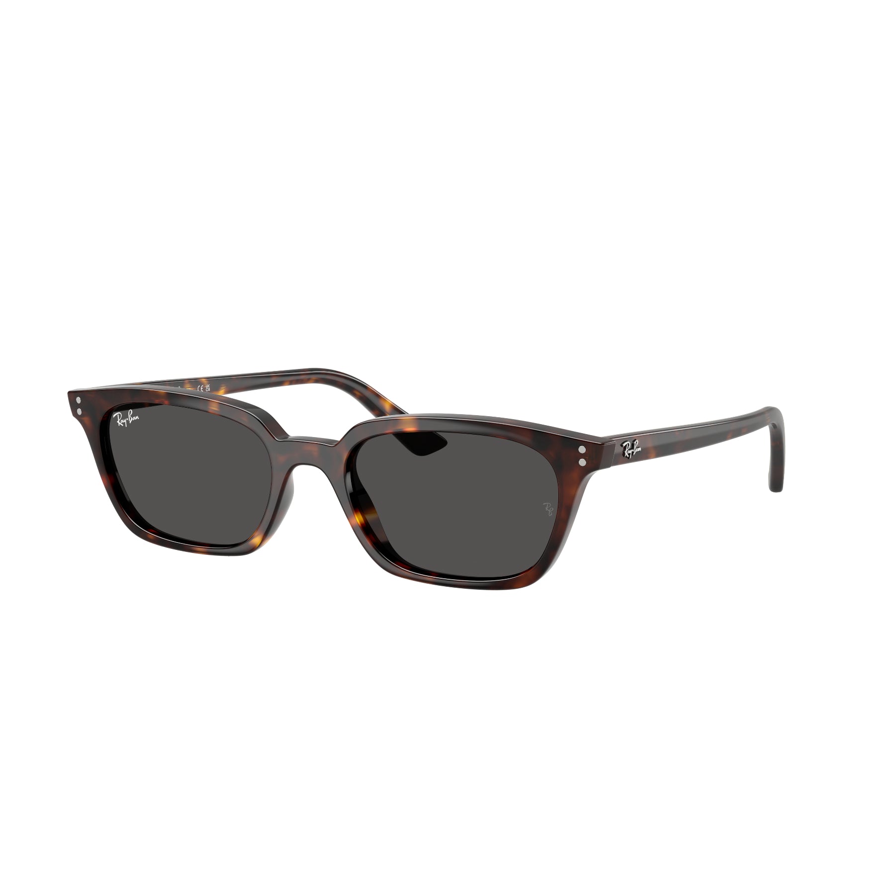 Ray-Ban Zaya – Gafas de Sol