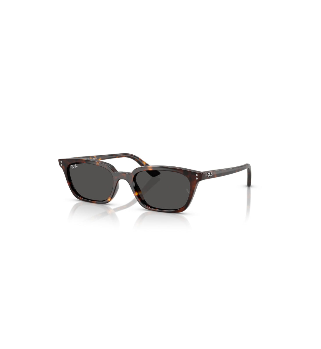Gafas de Sol Ray-Ban Zaya RB4456 135987