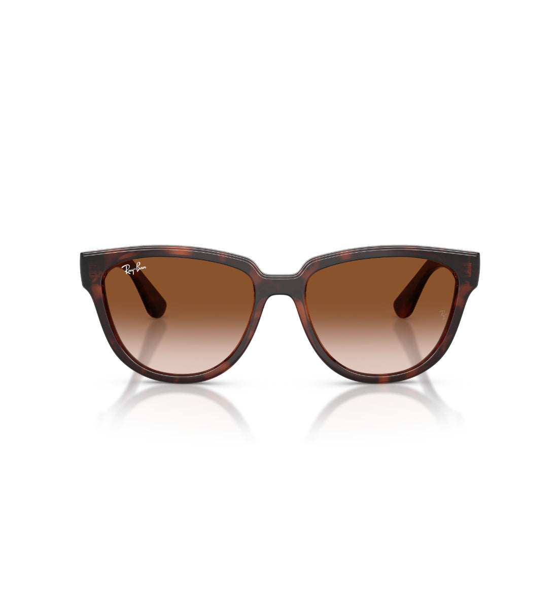 Gafas de Sol Ray-Ban RB4463L L71013