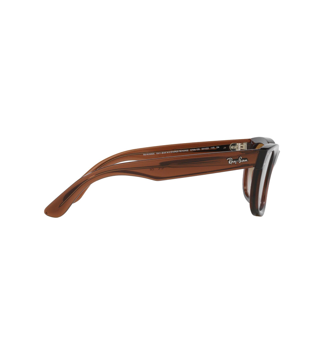 Ray-Ban Wayfarer Reverse – Gafas de Sol