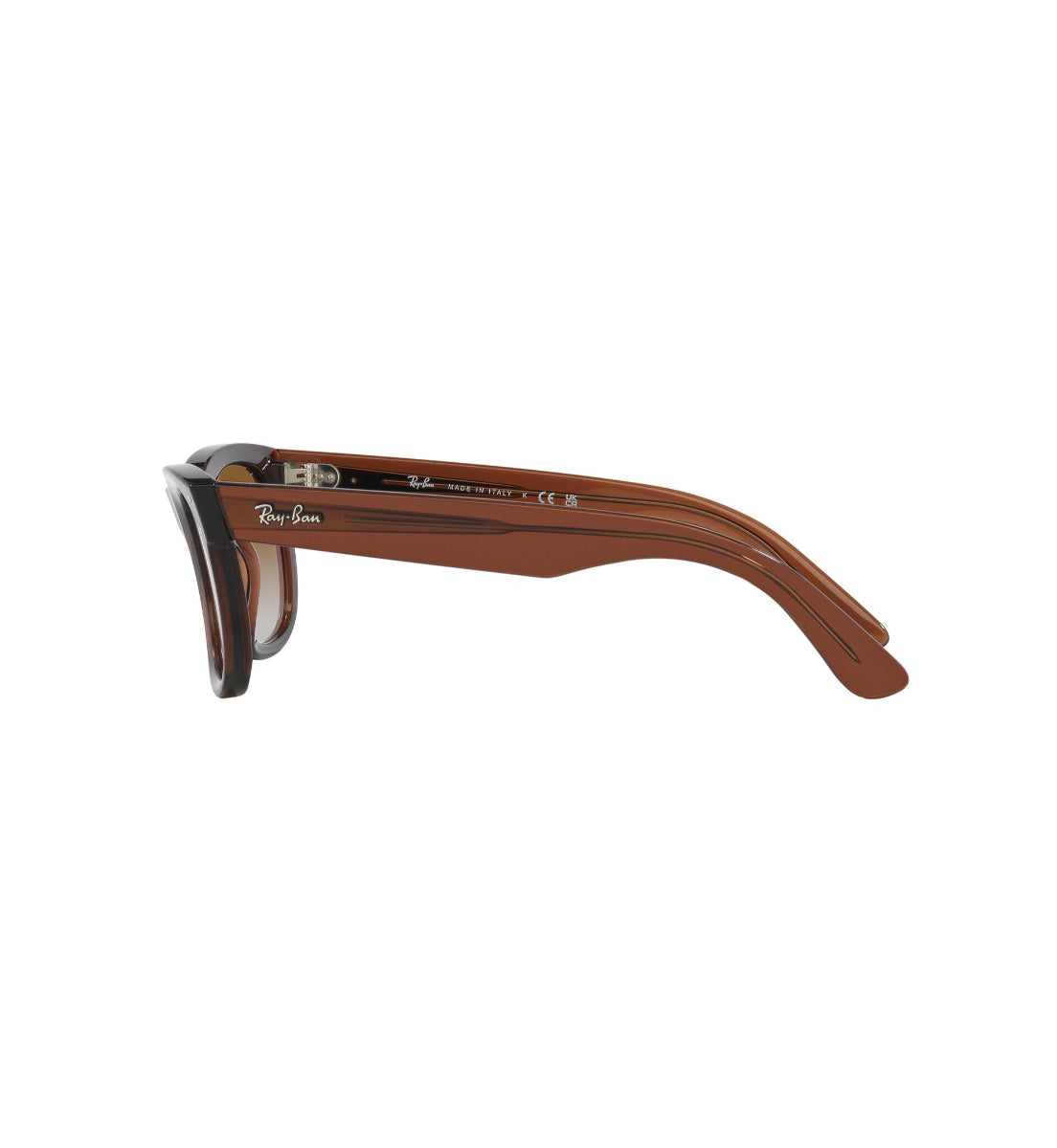 Ray-Ban Wayfarer Reverse – Gafas de Sol