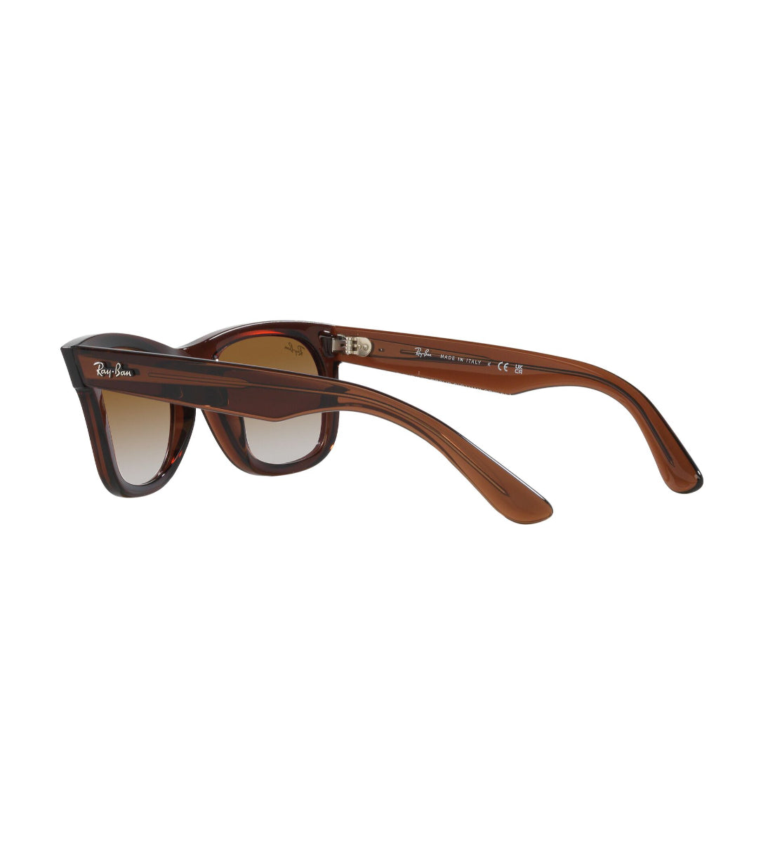 Ray-Ban Wayfarer Reverse – Gafas de Sol