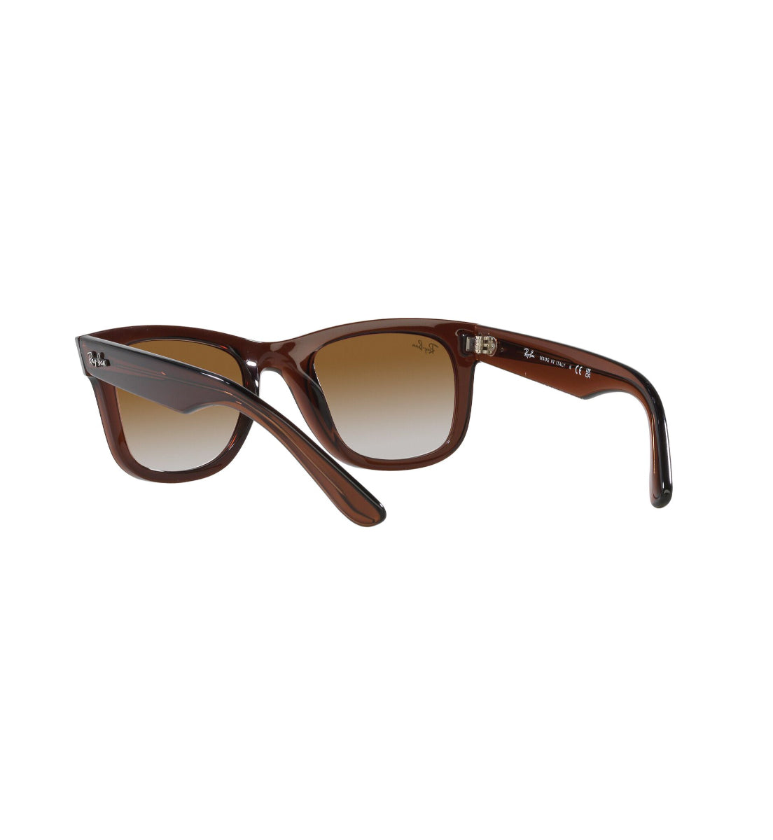 Ray-Ban Wayfarer Reverse – Gafas de Sol