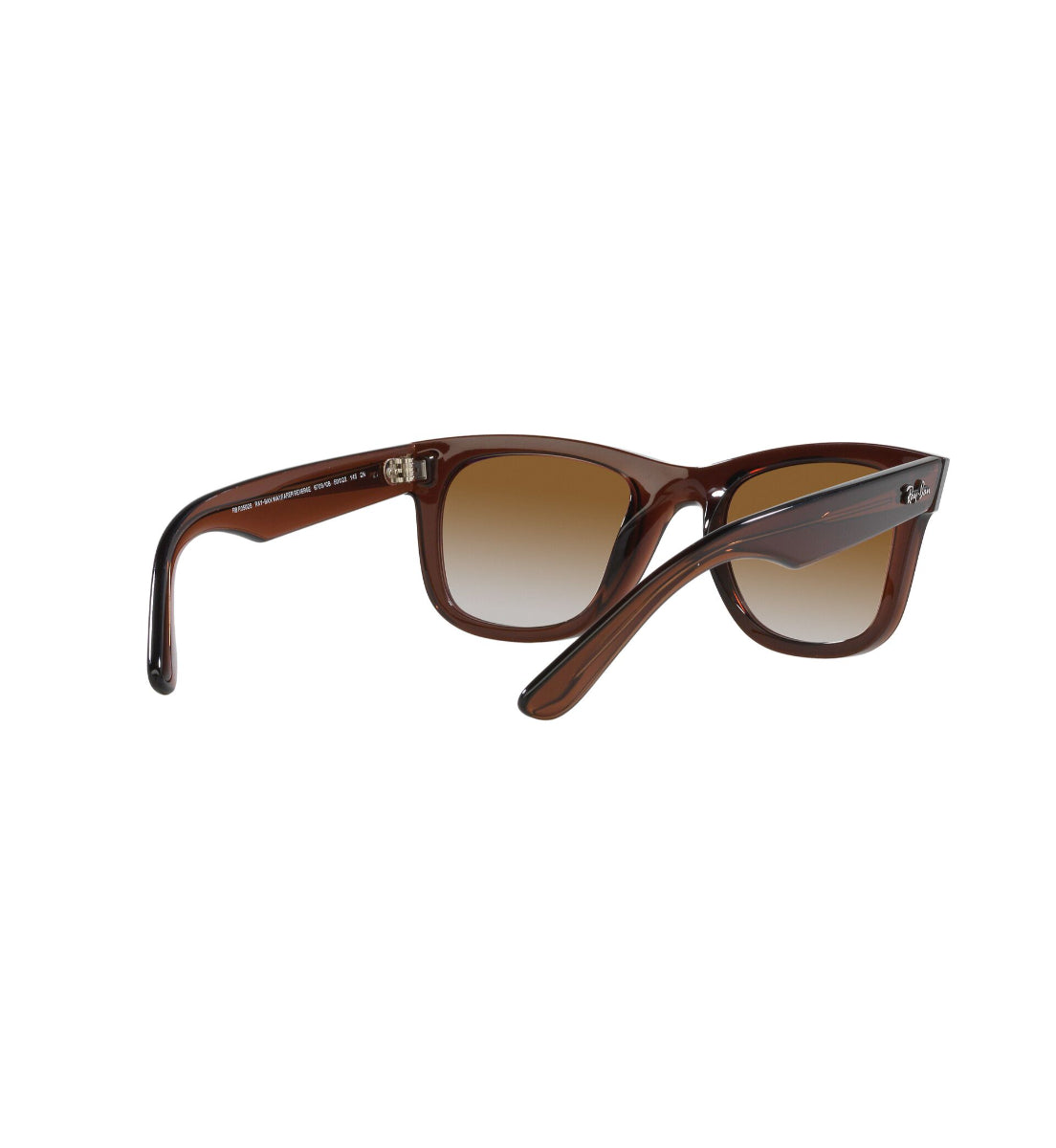 Ray-Ban Wayfarer Reverse – Gafas de Sol