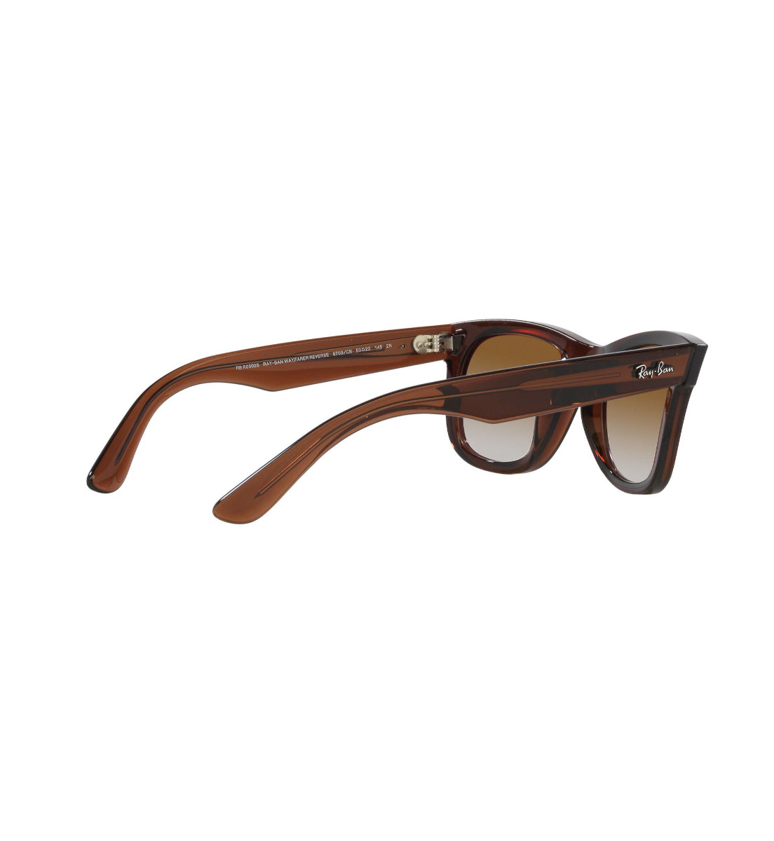 Ray-Ban Wayfarer Reverse – Gafas de Sol