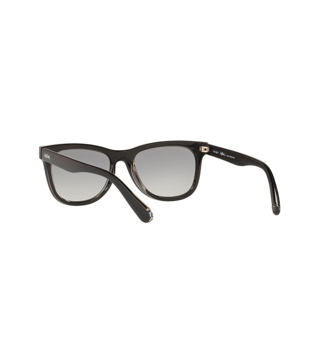 Gafas de Sol Kipling KP4066 I038