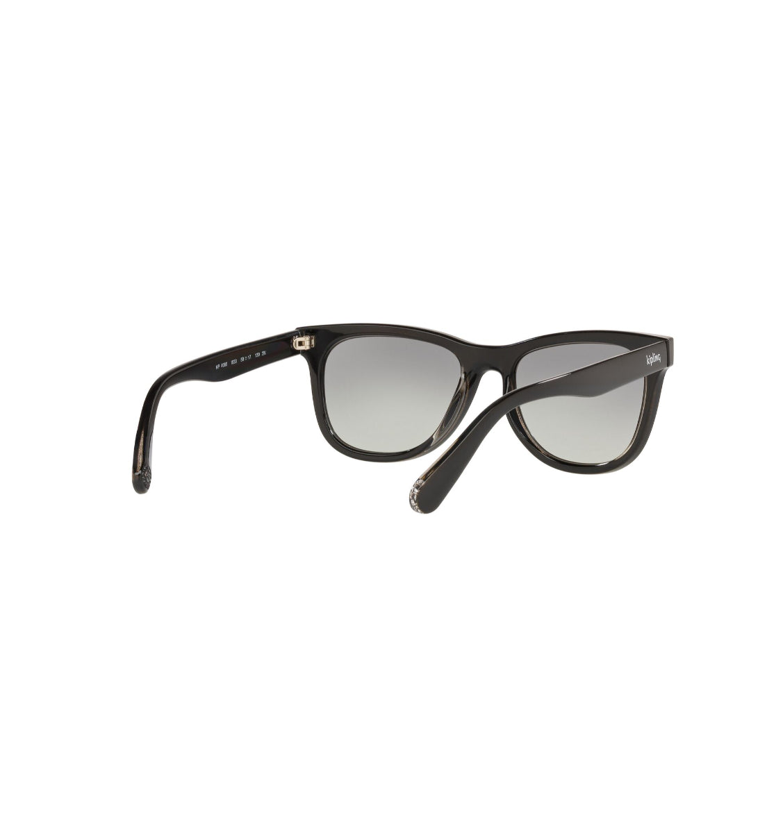 Gafas de Sol Kipling KP4066 I038