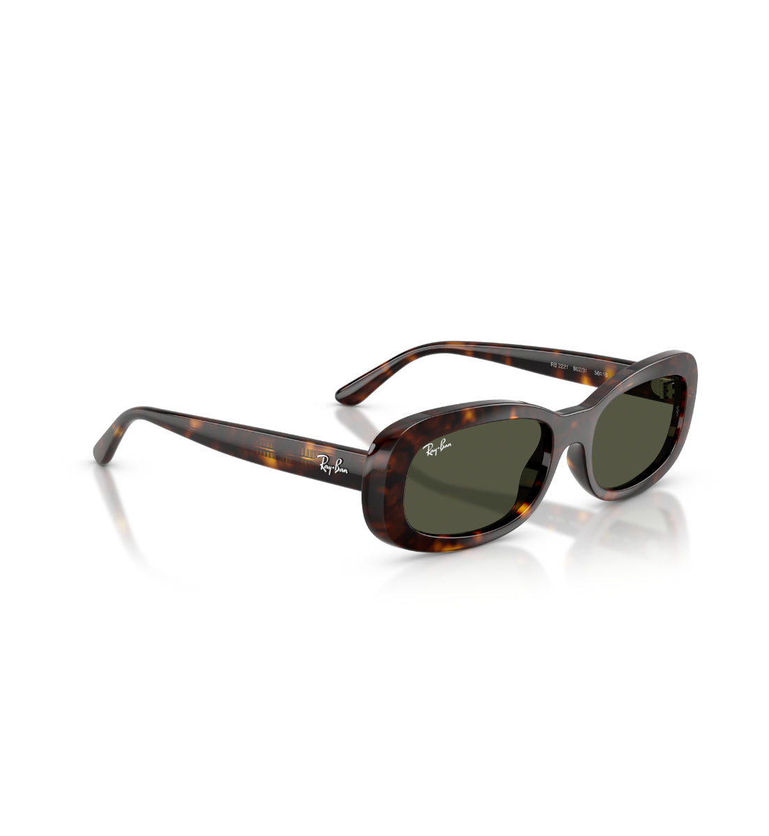 Gafas de Sol Ray-Ban RB2221 90231