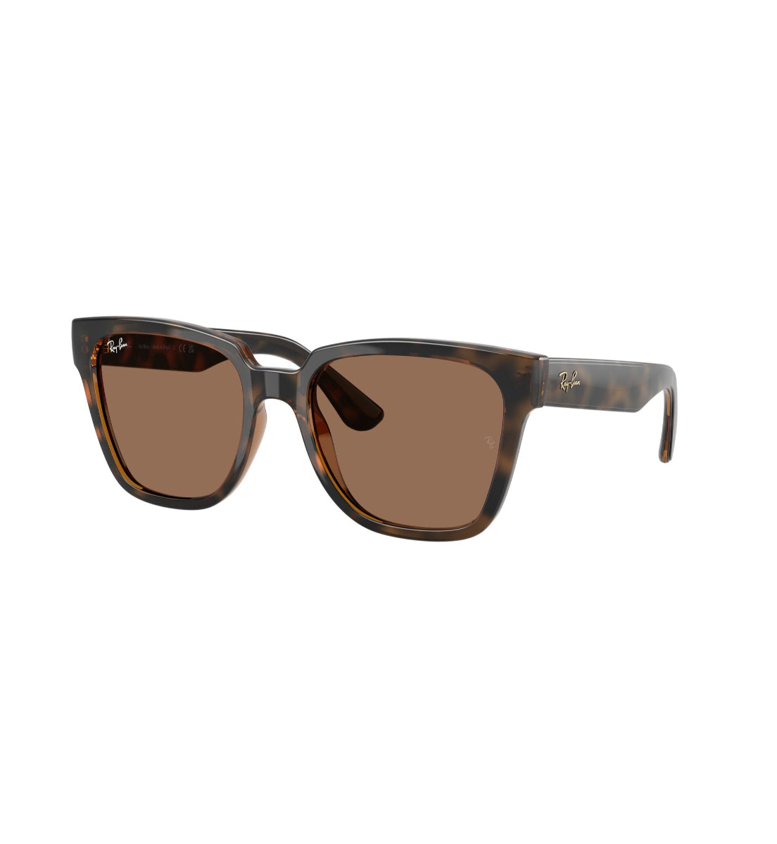 Gafas de Sol Ray-Ban RB4437 L71073