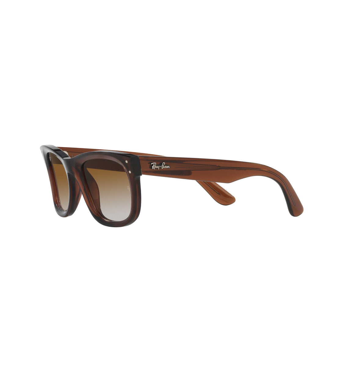 Ray-Ban Wayfarer Reverse – Gafas de Sol