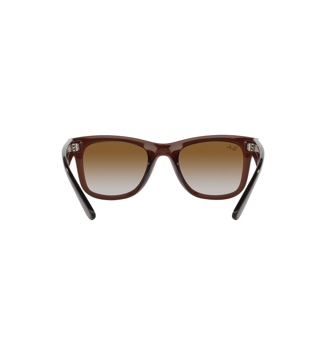 Ray-Ban Wayfarer Reverse – Gafas de Sol