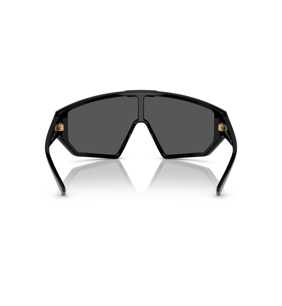 Versace VE4461 – Gafas de Sol