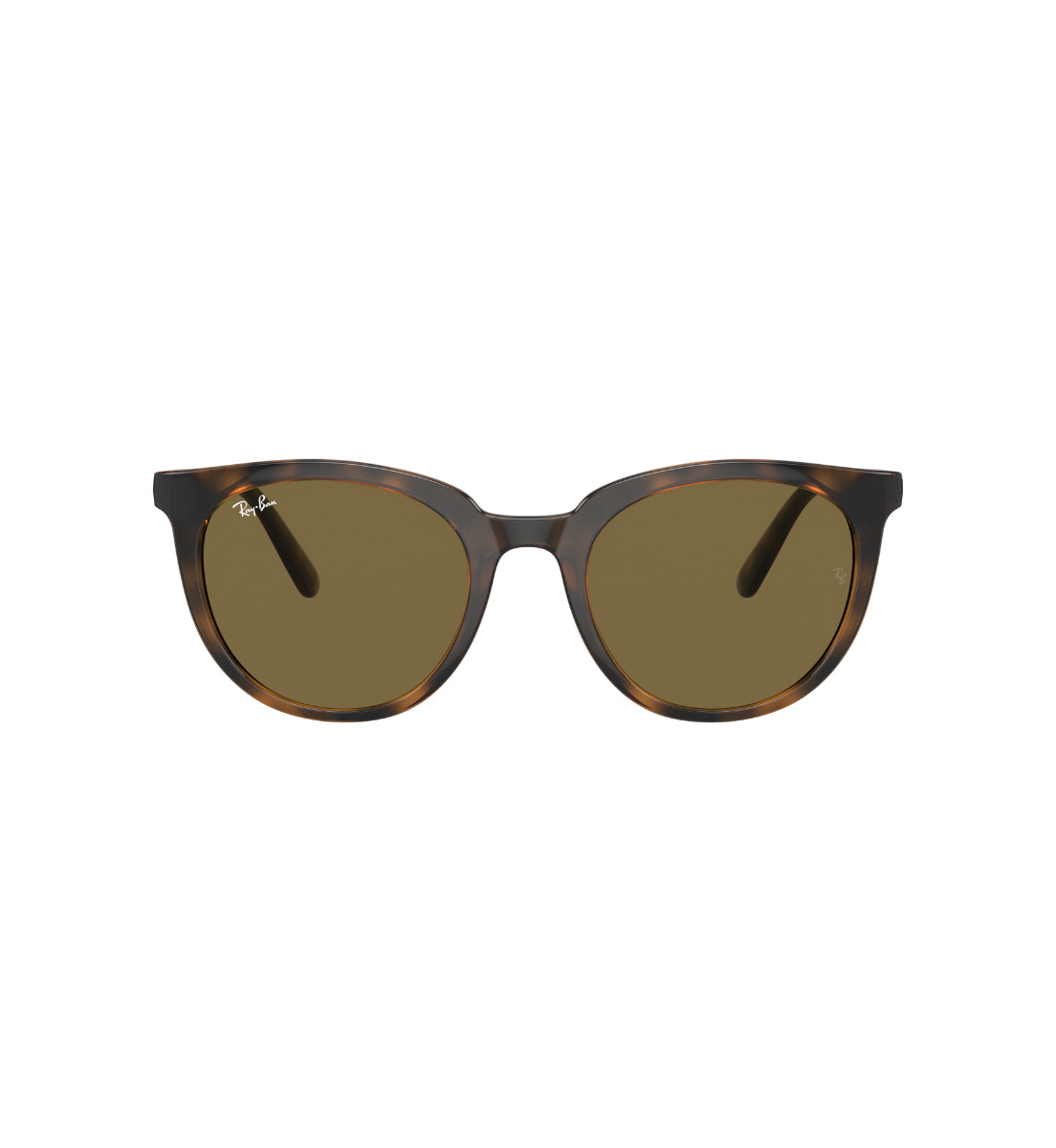 Gafas de Sol Ray-Ban RB4383 L71073